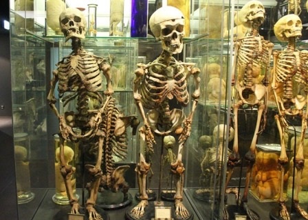 7 viện bảo tàng kỳ quái